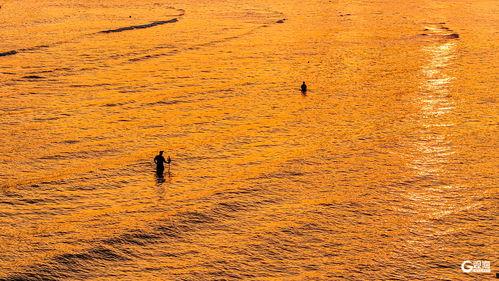 秋日天空在线观看,云端漫步，尽享金秋美景
