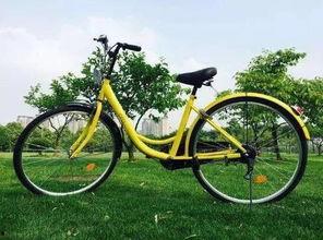 天津自行车爆料视频最新,行业乱象与品牌真相