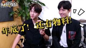 娱乐日爆料社,揭秘娱乐圈最新热点，带你领略明星幕后故事