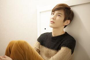 sunny男明星,Sunny男明星的星光璀璨之路