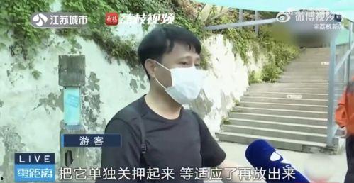 网红吃瓜跳舞是谁啊,揭秘网络红人的热门话题与舞蹈魅力