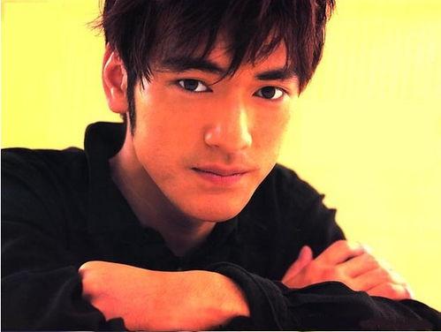 知名男av明星,从巅峰到低谷的传奇人生