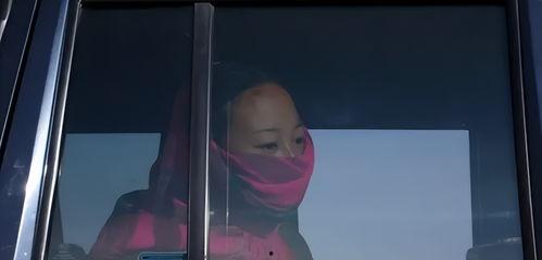 智美更登全集视频,探寻藏传佛教智慧的瑰宝