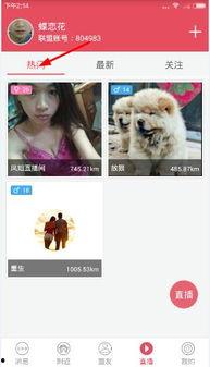 分享视频在线播放