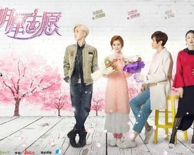 opentv明星志愿,揭秘OpenTV明星志愿的璀璨人生