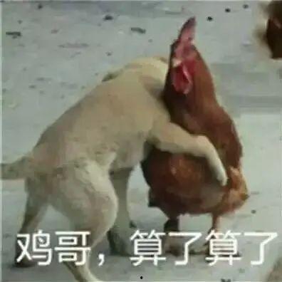 鸡哥早期爆料视频,那些不为人知的幕后故事