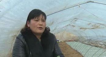 张慧敏陈丽视频种子,揭秘幕后故事与精彩瞬间